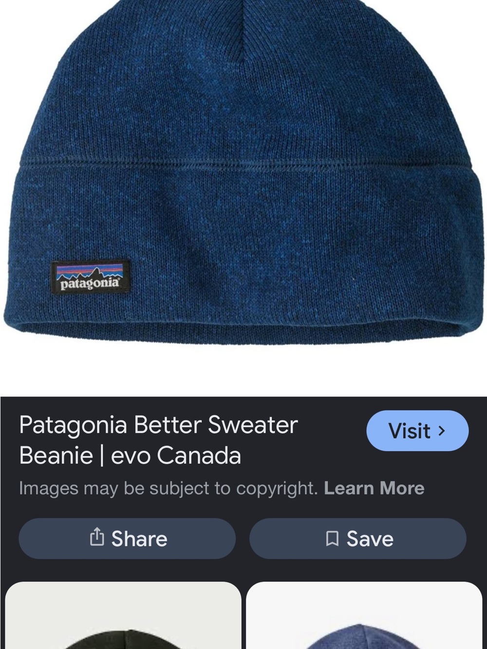 Patagonia Blue Knit Beanie with Logo Patch